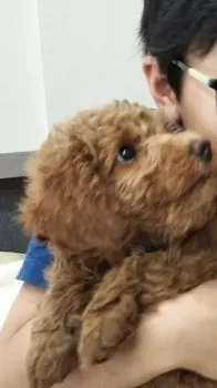 mi3239 様のお迎えした子犬