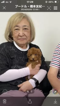 みみちゃん 様のお迎えした子犬