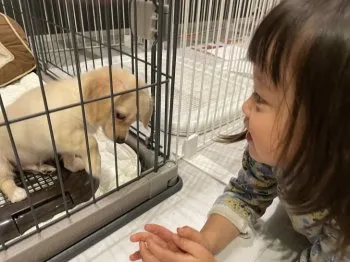 葉太 様のお迎えした子犬