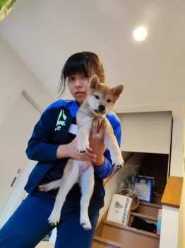 タカーシャ 様のお迎えした子犬