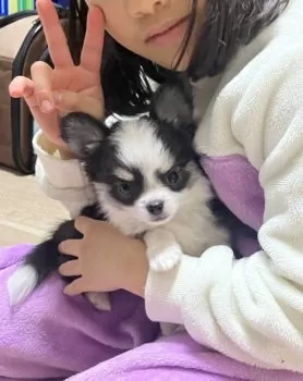 M.O 様のお迎えした子犬