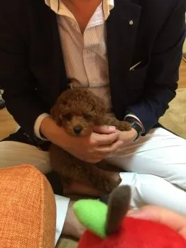 J 様のお迎えした子犬