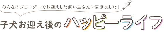 取材記 子犬お迎え後のハッピーライフ