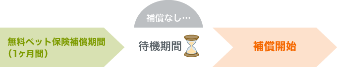 待期期間の補償なし