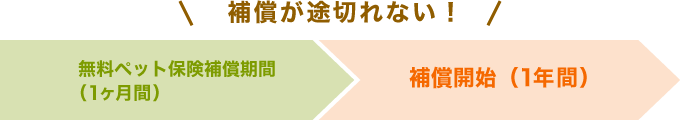 待期期間なしで補償が途切れない！