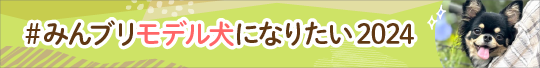 #みんブリモデル犬になりたい2024